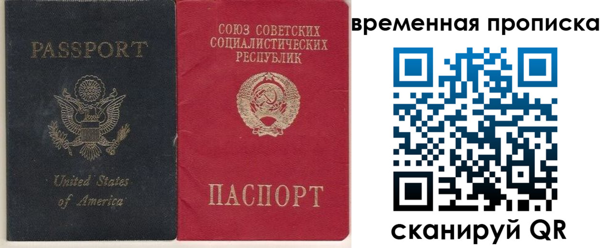 прописка для школы в Владимире